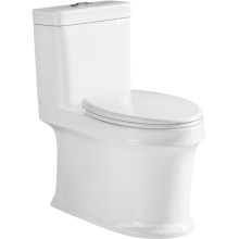 2020 Dual-Flush One-Piece Elongated SiphonicI WC Toilet